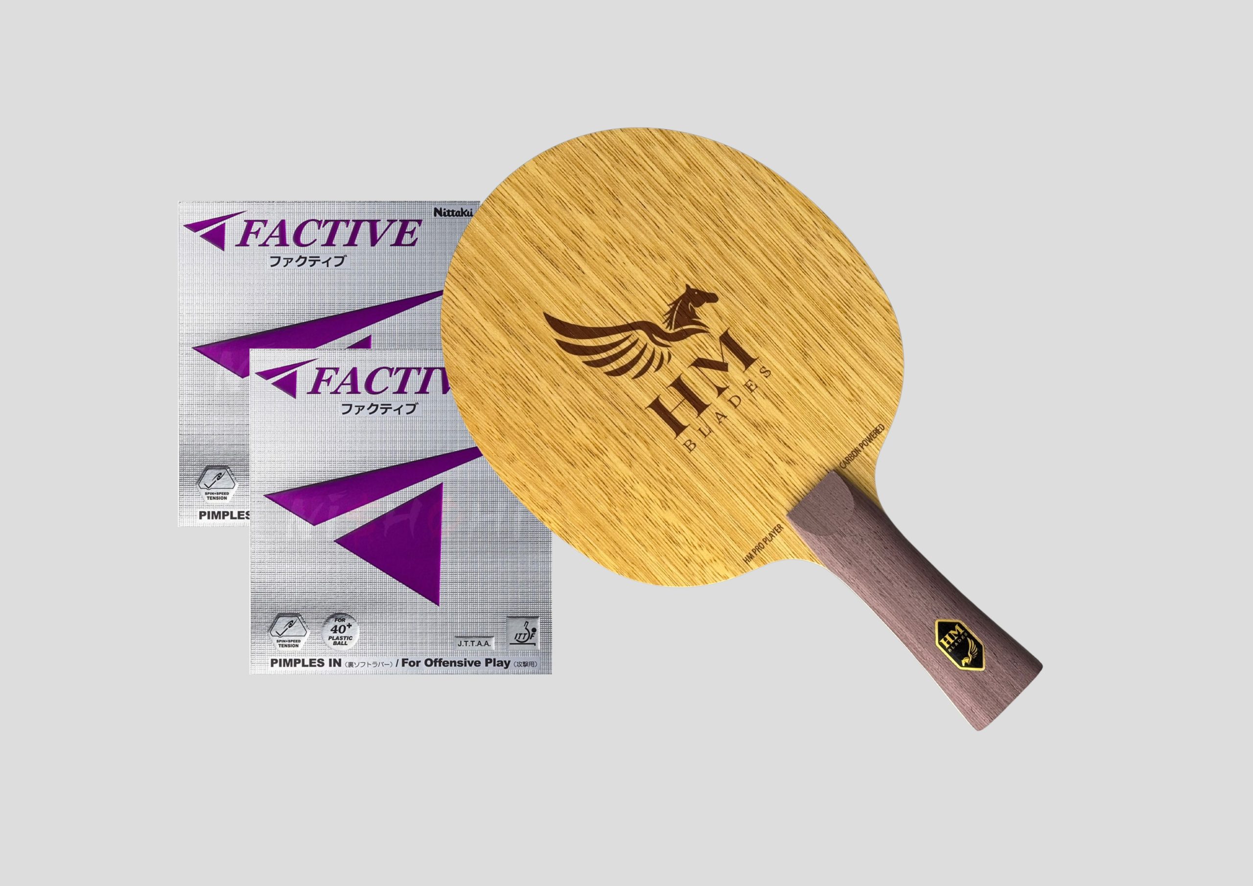 Paleta HM Blades Purple (carbon interior) si fete Nittaku Factive